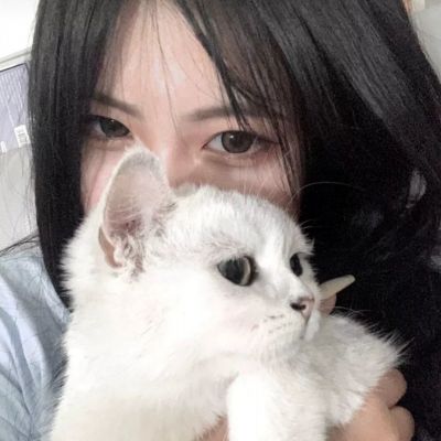 独奏骑士手游官方下载